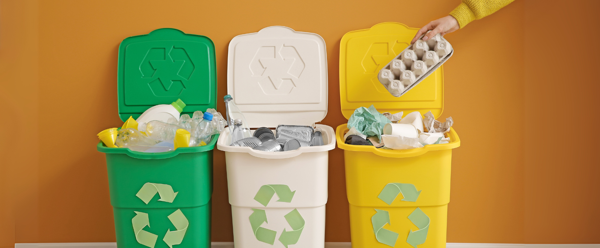 Guide to Waste Sorting & Teaching Kids Environmental Stewardship